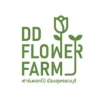 DD FLOWER FARM